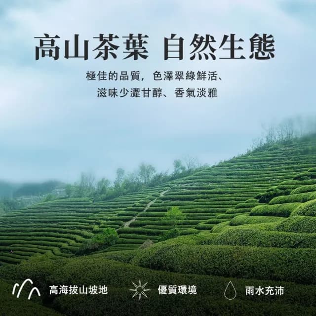 【坂尾家】古早味紅茶(50入/包 ☆冷泡、熱泡都好喝☆)