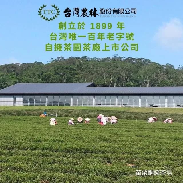 【台灣農林】官方直營 台茶風華 碧螺春綠茶x2盒(天然製材立體茶包2.5gx20入/盒)