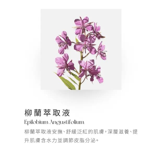 即期品【BEVY C.】即期品-淨潤白潔顏慕斯165mL(40%椰油胺基酸/效期至2026.02)