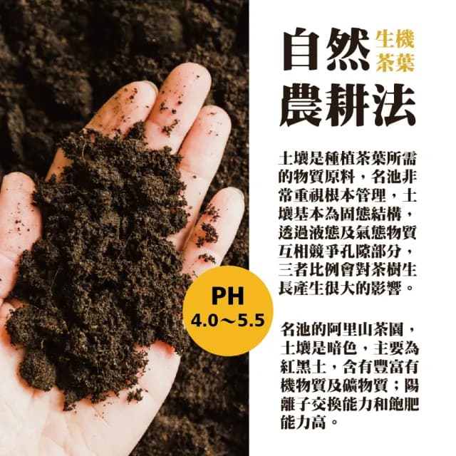 【名池茶業】杉林溪清韻雅緻高山烏龍茶150gx4包(共1斤)