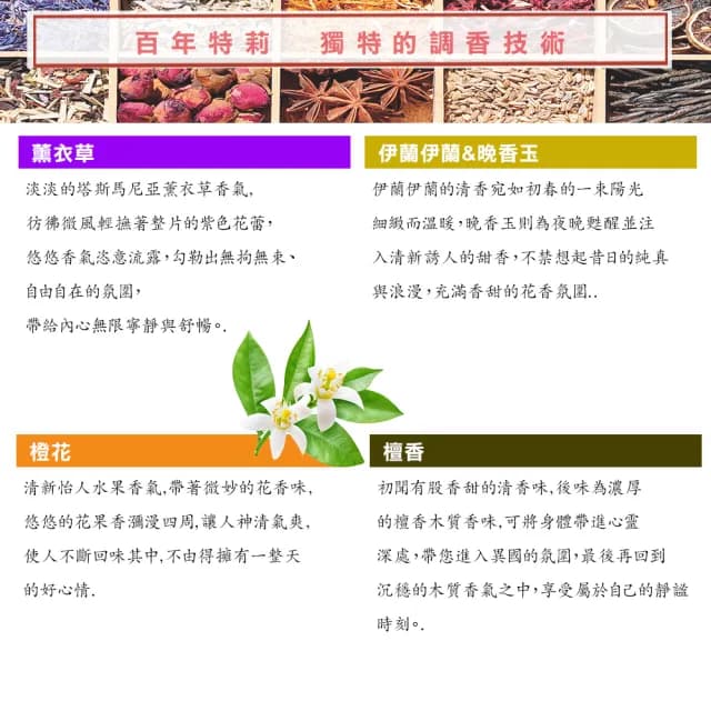 【Tilley 百年特莉】薰衣草香氛大豆蠟燭240g(促銷中)