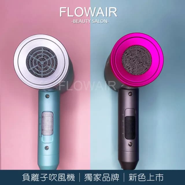 【FLOWAIR】沙龍級負離子吹風機 速乾科技 護髮 降噪 輕量吹風機 2色可選(BSMI檢驗合格商品)
