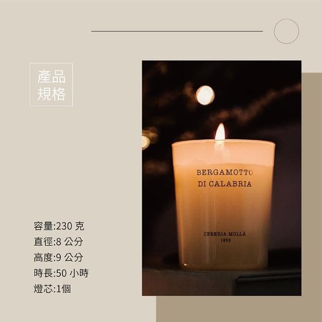 【Cereria Molla 1899】普羅旺斯薰衣草 經典香氛蠟燭 230 克
