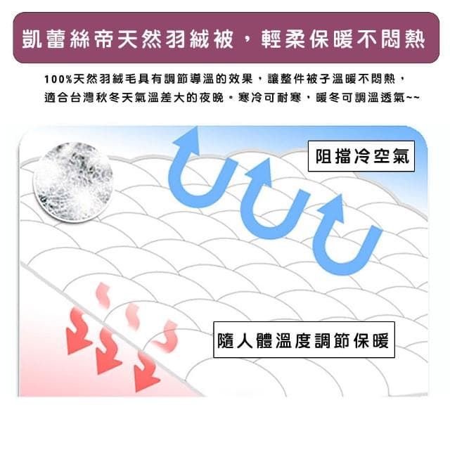 【凱蕾絲帝】台灣製造雙人6*7尺90%純絨貴族級天然羽絨被(40支紗立體純棉防絨)