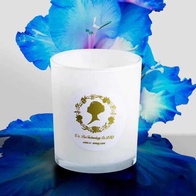 【福利品】國際精品香蠟燭 玫瑰之水 晚香玉 1入/360G(原廠公司貨、名牌香水蠟燭、玫瑰之水)