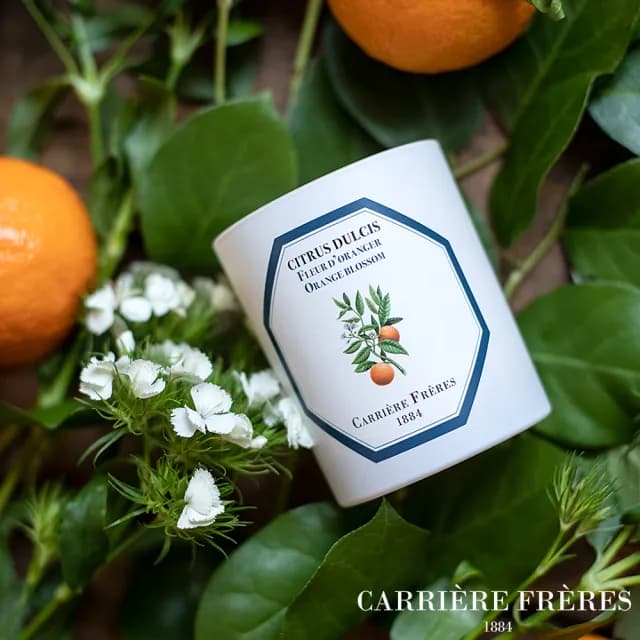【Carriere Freres】橙花 185g 天然手工香氛蠟燭(Orange Blossom)