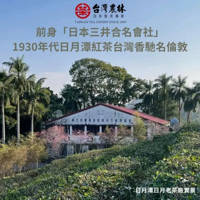 【台灣農林】官方直營 嚴選紅玉紅茶 台茶18號(100g/夾鏈袋包)