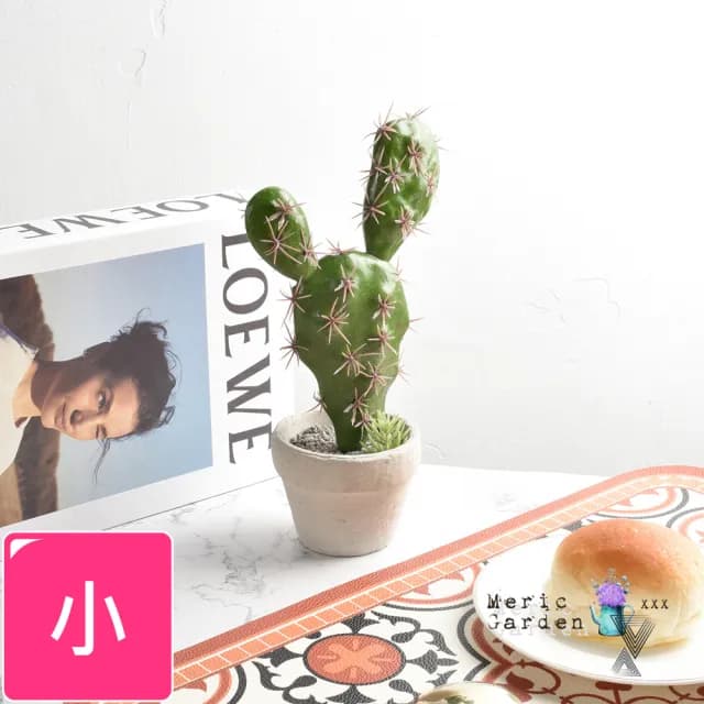 【Meric Garden】仿真仙人掌多肉植物療癒手工水泥小盆栽_小