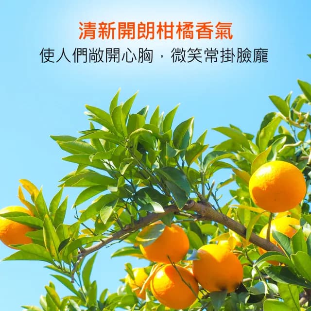【草本24】Herb24 星燦骨瓷高頻負離子水氧機－贈：紅桔精油10ml(保固半年 喬遷入厝禮物首選)