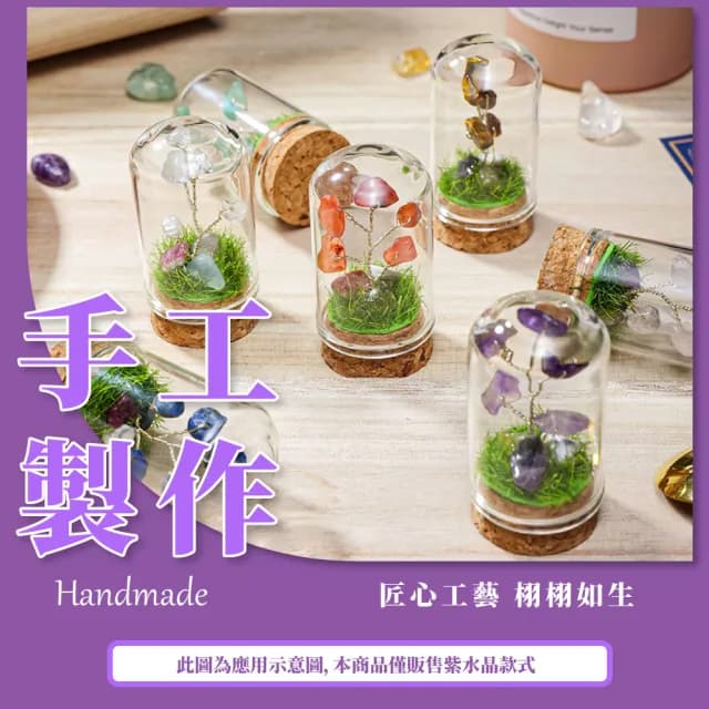 【水晶運勢】紫水晶樹擺飾-附玻璃罩(富貴 開運 智慧水晶 能量水晶 招財 學生 誕生石 辦公室 玄關擺件 禮物)