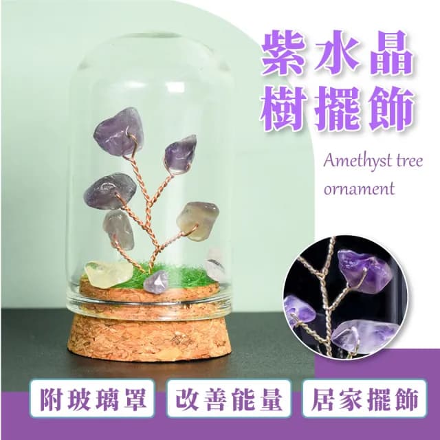 【水晶運勢】紫水晶樹擺飾-附玻璃罩(富貴 開運 智慧水晶 能量水晶 招財 學生 誕生石 辦公室 玄關擺件 禮物)