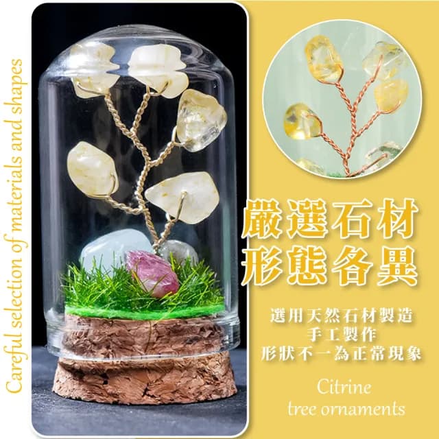 【水晶運勢】天然黃水晶樹擺飾-附玻璃罩(玻璃盅 平安 招財樹 自信 桌面擺件 辦公桌 送禮 禮物 風水)