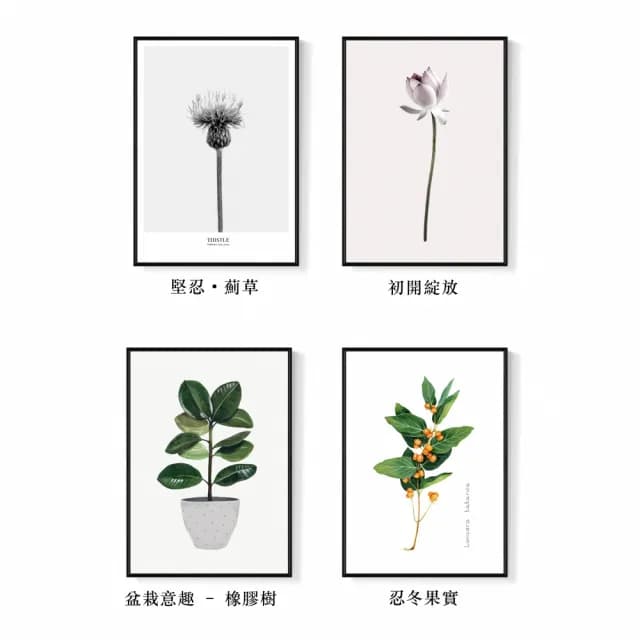 【菠蘿選畫所】舒壓清新復古植物花卉系列 - 42x60cm(夏天綠植裝飾畫/綠色植栽掛畫/電錶箱裝飾/玄關擺飾)