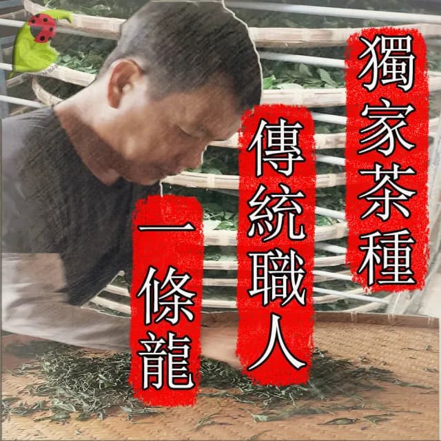【龍源茶品】嚴選梨山清香高山烏龍茶葉6包組(150g/包-共1.5斤/附提袋/高山茶)