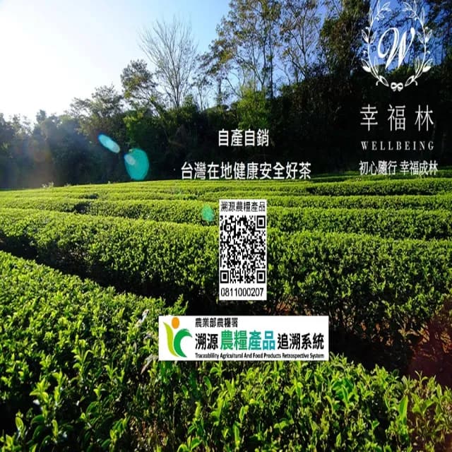 【幸福林有機茶園】隨享酸柑茶包(客家 酸柑茶 特色茶)