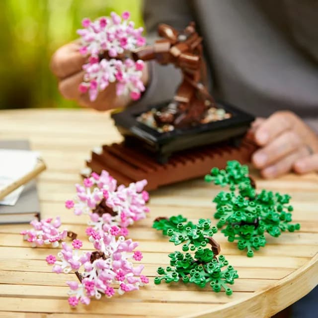 【LEGO 樂高】Botanicals 10281 盆栽(植物盆栽 居家擺設 DIY 禮物 母親節禮物)