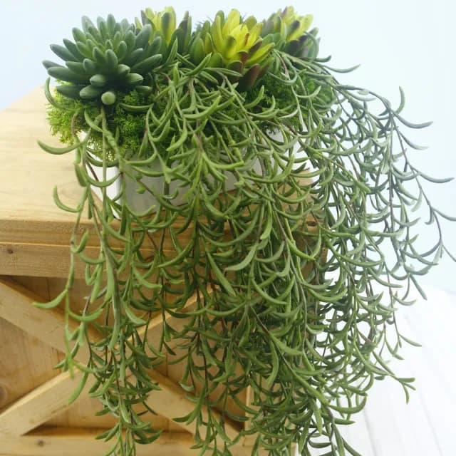 【HUGO DECO 榆果傢飾】高擬真紫弦月藤蔓植栽(擬真植物/禮物/綠化/永不凋零/佈置/蕨類)