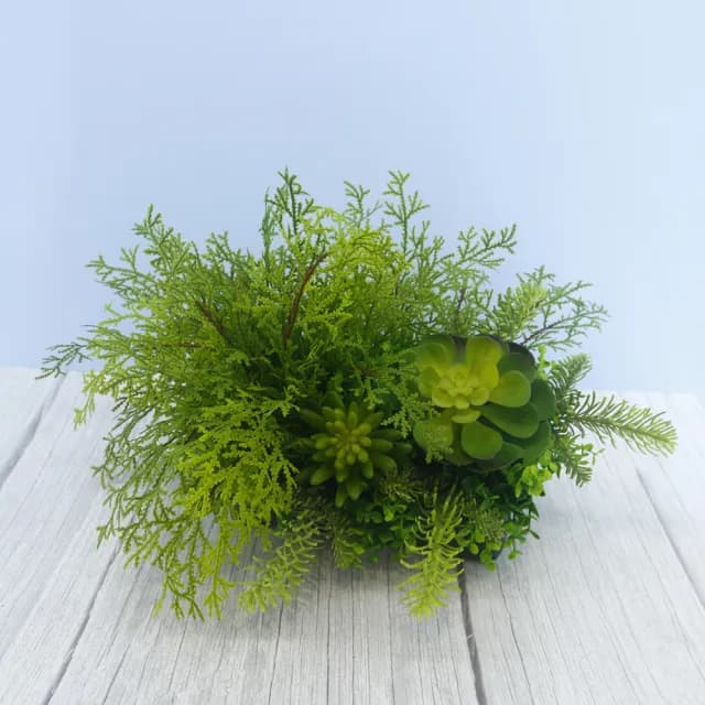 【HUGO DECO 榆果傢飾】高擬真蕨草多肉植物盆栽(擬真植物/禮物/綠化/永不凋零/佈置/蕨類)