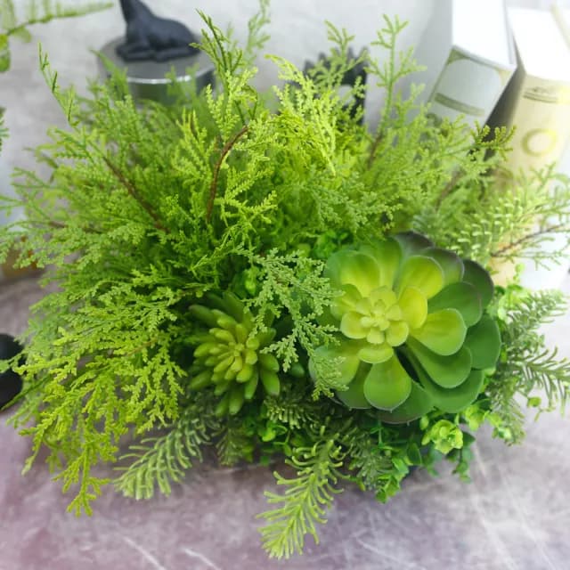 【HUGO DECO 榆果傢飾】高擬真蕨草多肉植物盆栽(擬真植物/禮物/綠化/永不凋零/佈置/蕨類)