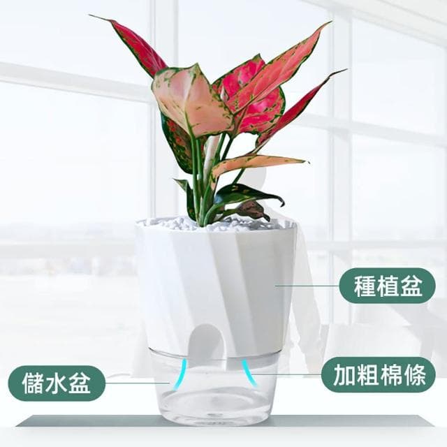 【JOHN HOUSE】帶補水口自動吸水花盆 透明花盆 植物花盆 自動補水盆栽 盆栽容器(中號)