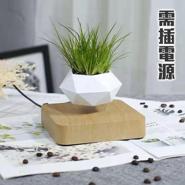 【神奇！懸空的植物擺飾】懸浮盆栽(磁浮 植栽 布置 花盆 觀葉 造景 送禮 交換禮物 入厝禮 多肉)