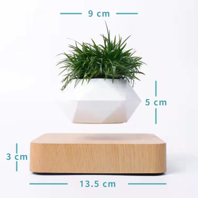 【神奇！懸空的植物擺飾】懸浮盆栽(磁浮 植栽 布置 花盆 觀葉 造景 送禮 交換禮物 入厝禮 多肉)