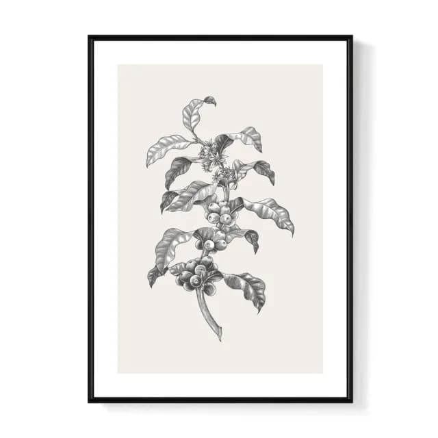 【菠蘿選畫所】復古插畫 – 咖啡豆II -70x100cm(咖啡裝飾插畫掛畫/咖啡店裝飾/廚房掛畫/開店送禮)