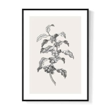 【菠蘿選畫所】復古插畫 – 咖啡豆II - 50x70cm(咖啡裝飾插畫掛畫/咖啡店裝飾/廚房掛畫/開店送禮)
