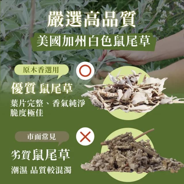 【原木香】白色鼠尾草無黏香 20克 約42柱(鼠尾草純粉壓製 香氣超濃縮 適用塔羅 占卜 靈療 瑜珈 冥想 淨化)