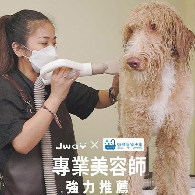 【JWAY】寵物溫控負離子吹乾機 JY-PD01(吹水機 寵物美容 吹風機 烘毛機 低噪音 母親節禮物)