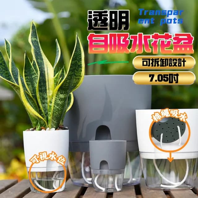 【京太陽】透明自吸水花盆(懶人花盆 自動澆水 吸水花盆 透明花盆 盆栽 植物花盆)