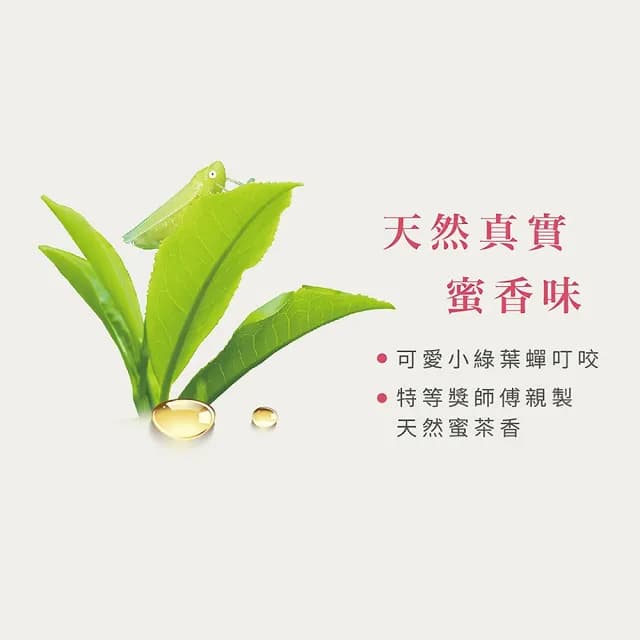 【發現茶】蜜香紅茶 茶包(尋尋覓蜜紅 3.5gx20入/盒)