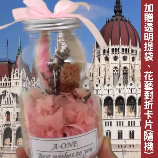 【A-ONE 匯旺】情人節花束 粉兔尾草 不凋花瓶 永生花 生日七夕 聖誕節 告白畢業禮物婚禮 情人節乾燥花