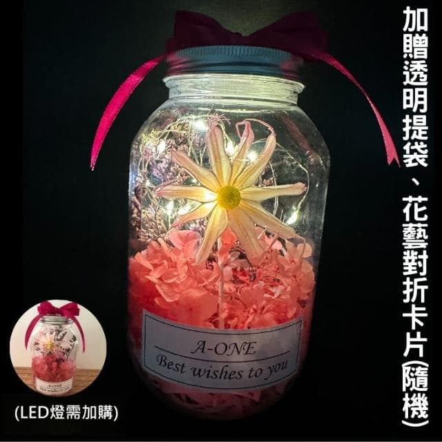 【A-ONE 匯旺】迷你花束 粉雛菊 珠光乾燥花 燈瓶 花束禮物 擺飾 情人節 生日 畢業 婚禮小物 情人節禮物