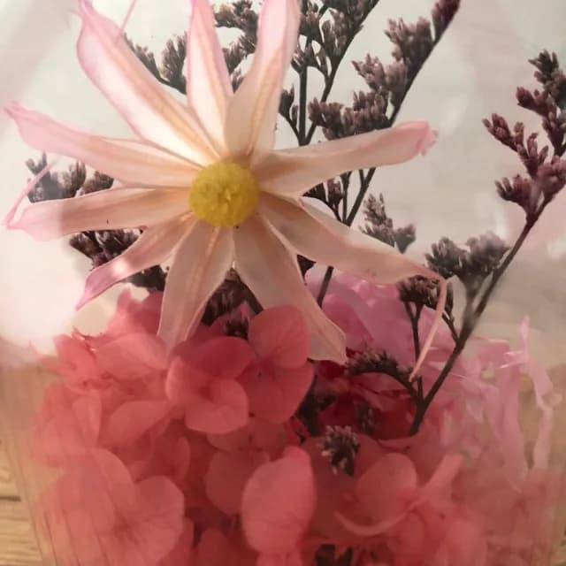 【A-ONE 匯旺】迷你花束 粉雛菊 珠光乾燥花 燈瓶 花束禮物 擺飾 情人節 生日 畢業 婚禮小物 情人節禮物