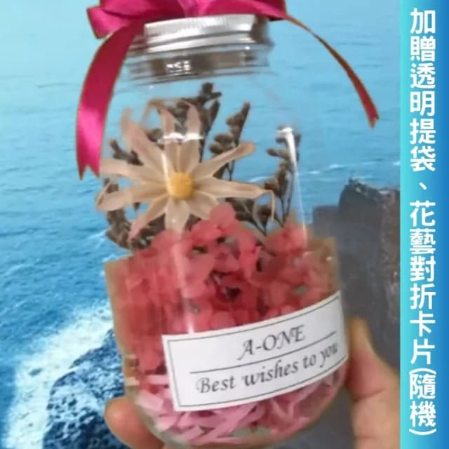 【A-ONE 匯旺】迷你花束 粉雛菊 珠光乾燥花 燈瓶 花束禮物 擺飾 情人節 生日 畢業 婚禮小物 情人節禮物