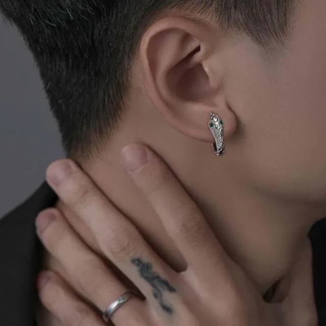 【Very Buy 非常勸敗】男士耳環男小眾設計感痞帥男生高級感單隻蛇頭耳針純銀蛇形耳飾女