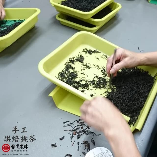 【台灣農林】官方直營 四季春烏龍茶 日月老茶廠(天然製材茶包2.2gx25入/盒)