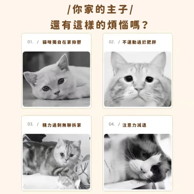 【主子駕到】複合式樂園多元軌道遊戲轉盤(發聲玩具球 打地鼠 自動逗貓棒 貓抓板 益智 幼貓 生日禮物)