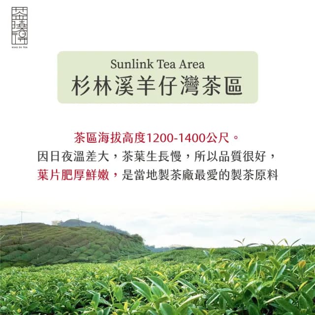 【茶曉得】杉林溪羊仔灣雅頌烏龍茶葉(150gx8包-2斤 春茶)