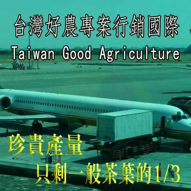 【鑫龍源】杉林溪有機茶葉禮盒2罐組(30g/罐-共60g/有機驗證茶送禮/青茶/綠茶類/高山茶葉/附提繩)
