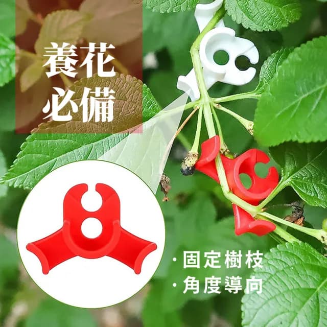 園藝植物折彎器5入(不傷植物 光照訓練輔助器 彎曲器 植物生長訓練器 盆栽 盆景工具 彎枝器 固定器)