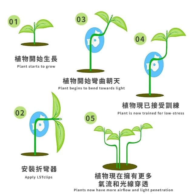 園藝植物折彎器5入(不傷植物 光照訓練輔助器 彎曲器 植物生長訓練器 盆栽 盆景工具 彎枝器 固定器)