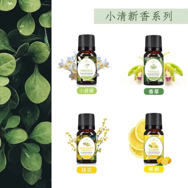 【CHYUNYAO】ELEGANT LIFE水溶性植萃香薰精油 4入組(水氧機專用 加濕器 薰香 擴香)