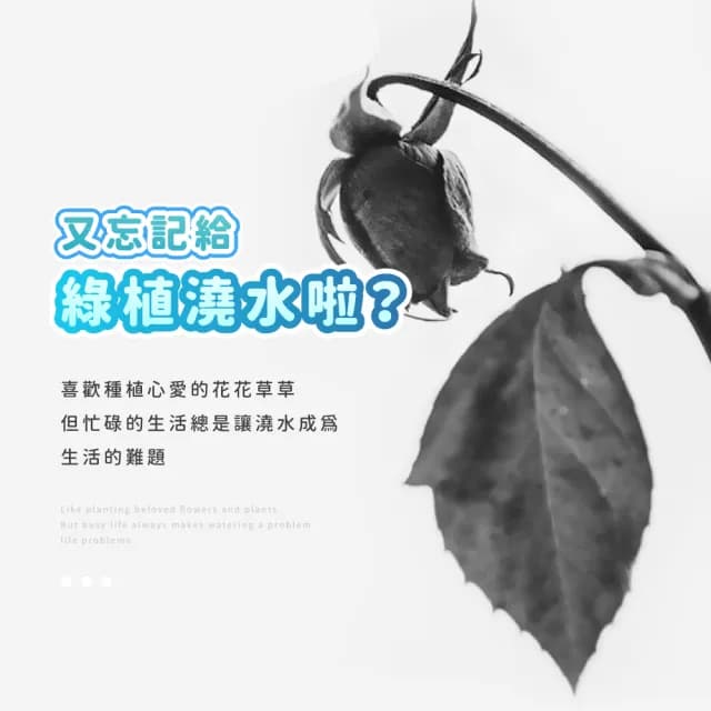 【每每園藝】質感奶藍無極調節水流澆花器-6入組(滴水器 家用澆水器 多肉 植物盆栽 灑水 懶人澆水工具)