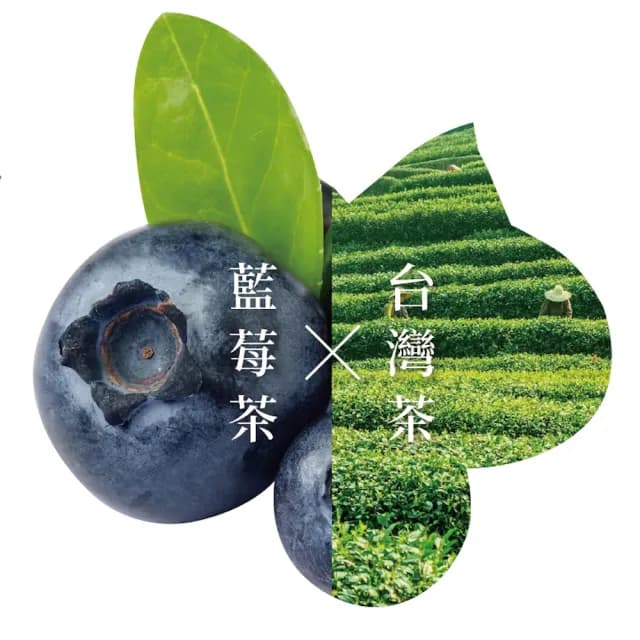 【新寶順】藍莓冰茶/快速冷泡果茶任選兩入組(蘋果輕茶/蜜桃輕茶/藍莓冰茶/紅果冰茶)