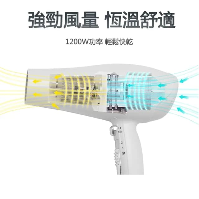 【達新牌】銀離子抗菌掛壁式吹風機(TS-1699P)