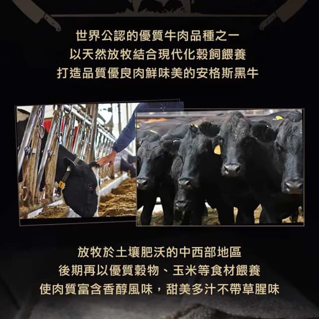 【愛上吃肉】美國藍帶特選嫩肩牛肉片6盒(250g±10%/包 中秋烤肉/燒烤)