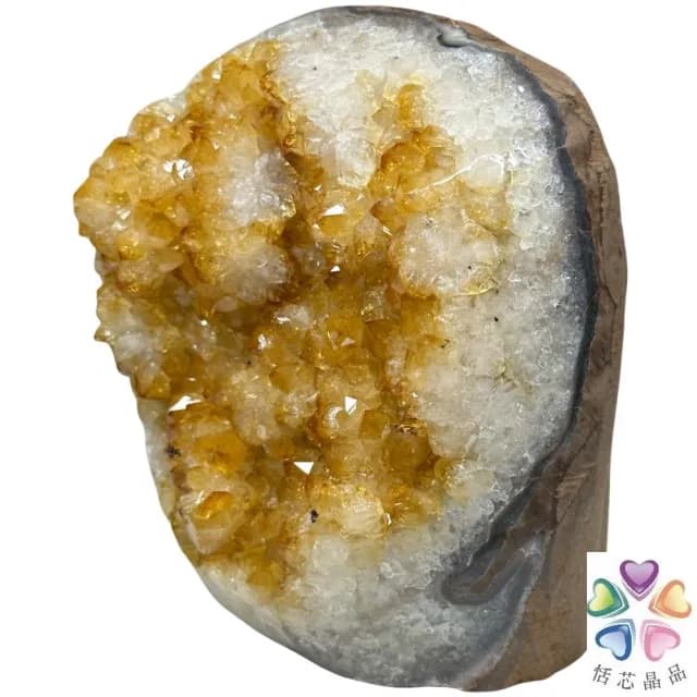 【恬芯晶品】Y5頂級烏拉圭ESP黃水晶開運招財(辦公室消磁淨化風水財運財位招貴人黃晶鎮禮物補財庫)