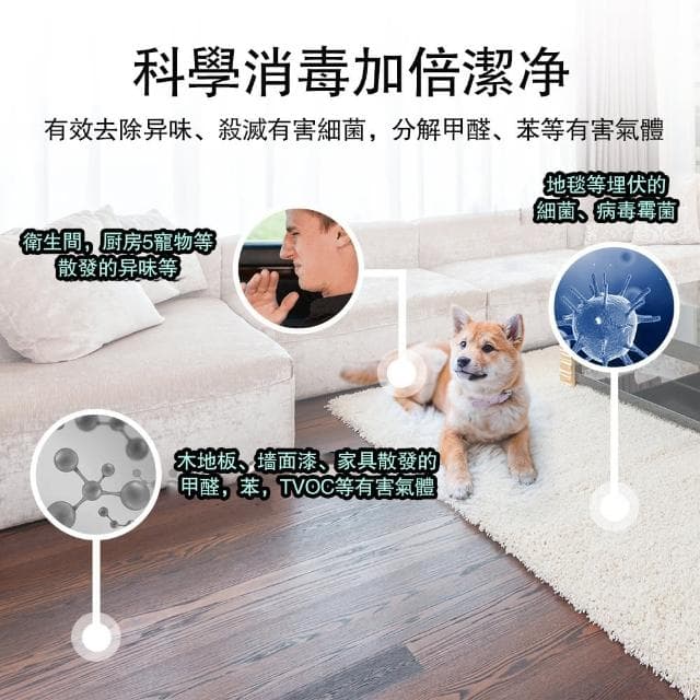 【OSLE 歐適樂】臭氧產生器 家用臭氧機 空氣淨化器 小型臭氧機(除異味 除甲醛 殺菌臭氧 空氣消毒機)